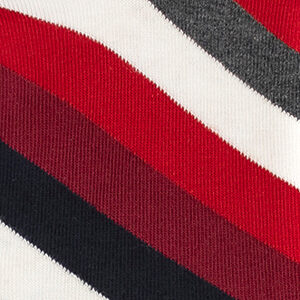 Varsity Stripe (Navy/Red Multi)